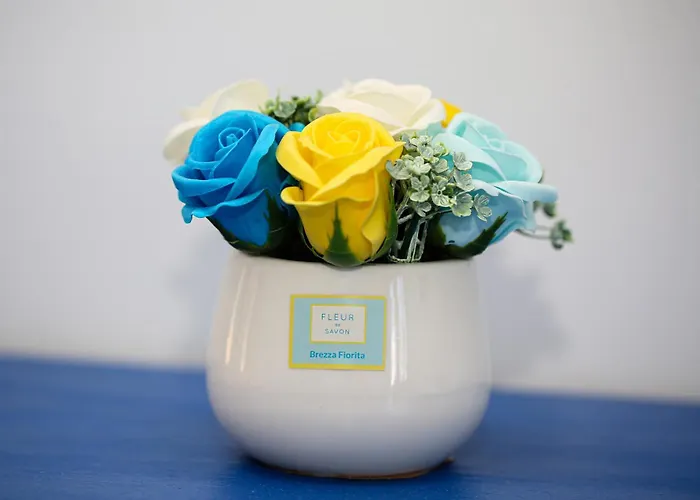 Qui Dove Il Mare Luccica Daire Sorrento