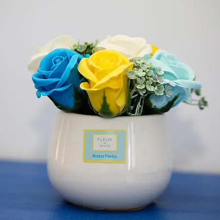 Qui Dove Il Mare Luccica Appartamento Sorrento